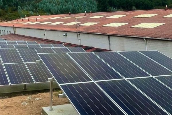 Desde Recense apostamos por la generación de energía verde