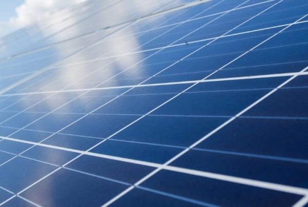 Intersolar Europe 2022, vídeo oficial y seguidores solares